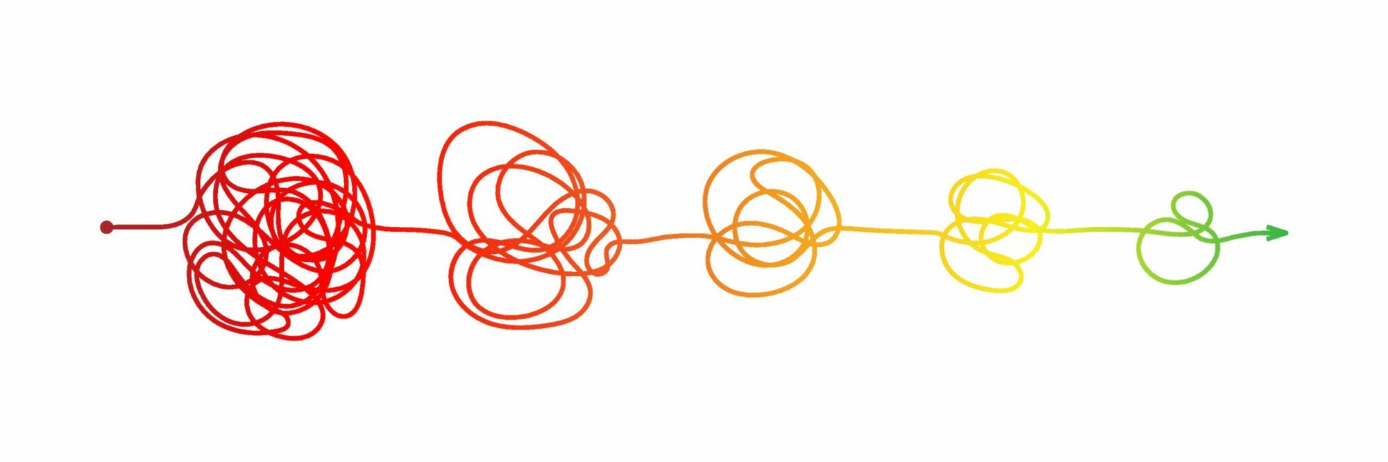 Sigrid Kinscherf – Coaching & Consulting